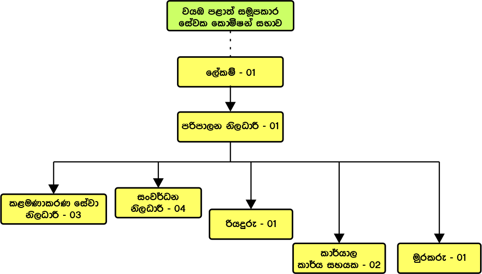 oraganization structure